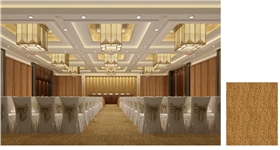 多功能廳地毯 多功能廳地毯