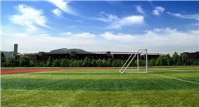 人造草坪 人造草坪