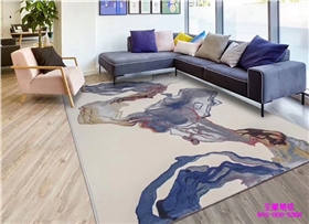 家用地毯 (4).jpg 家用地毯 (4).jpg