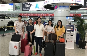 圣雁地毯 圣雁地毯