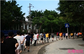 圣雁地毯 圣雁地毯