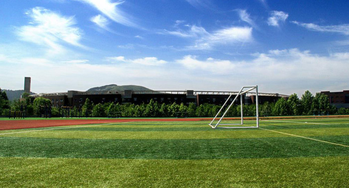 人造草坪 人造草坪